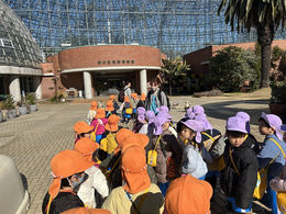 ≪園外保育/年中組≫