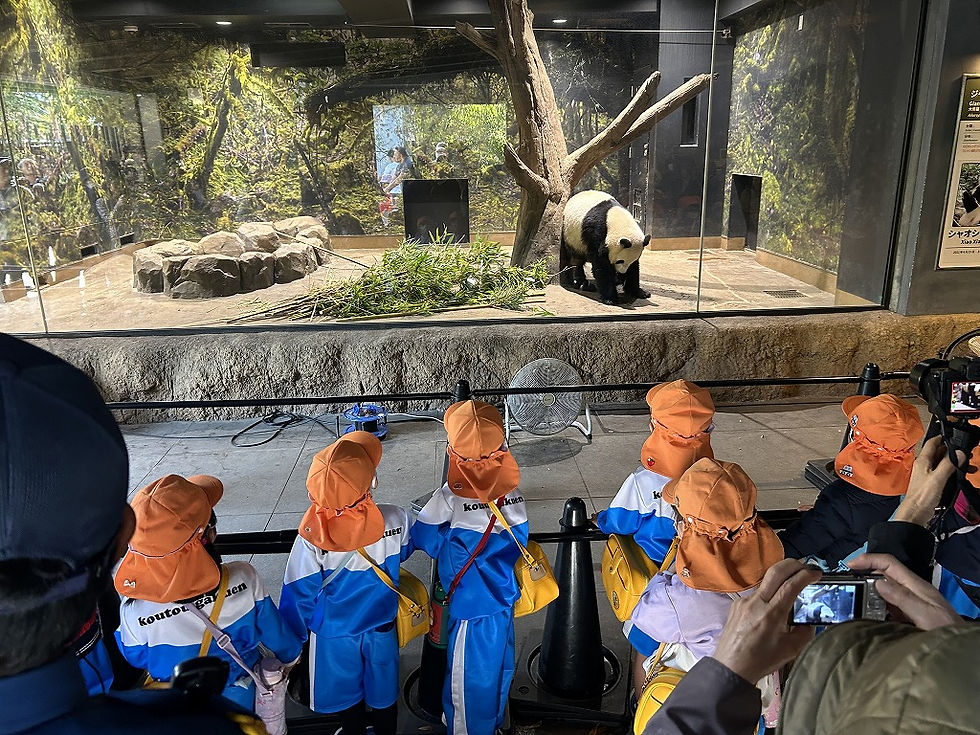 ≪園外保育/年中組≫