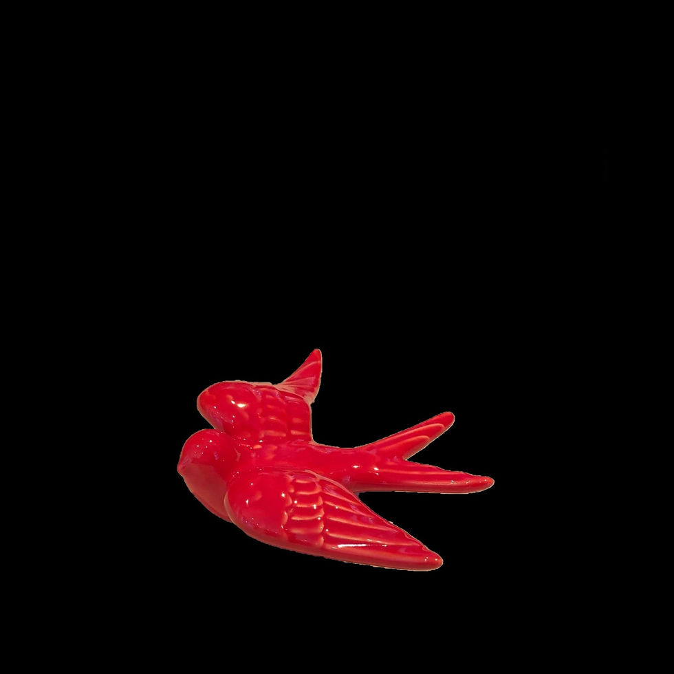 Miniatura: Andorinha Média