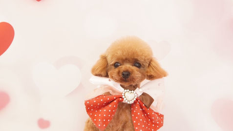 水道管の凍結・破裂防止⛄点検修理