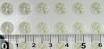 S__30540439.jpg