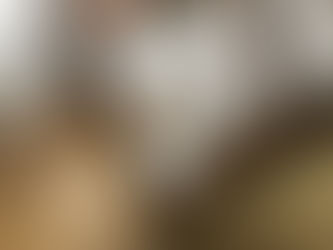 畳・網戸・障子・ふすまの張り替え🐈