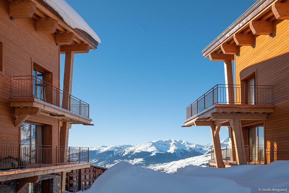 Chalets Mille 8