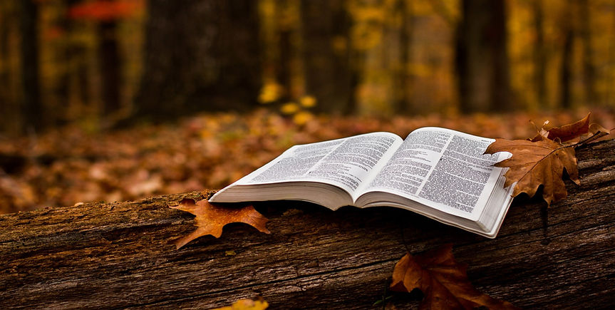 bible_on_the_wood_edited.jpg