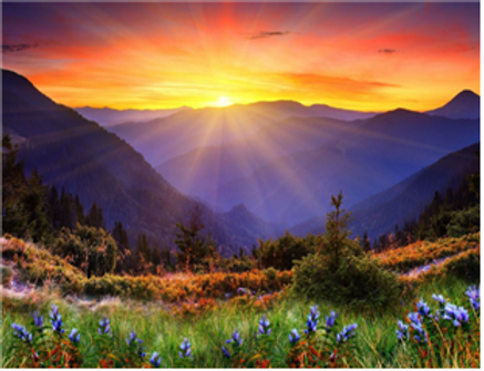 돋는 해의 아침 빛 같은 인생 (삼상 23:1 7)