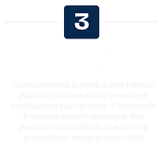 Copy of Untitled Design (24).png
