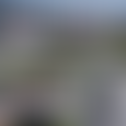 Discover Port Lincoln Tourist Park - Big Lap Adventures