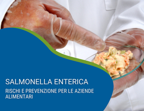 Salmonella Enterica: guida ai rischi per le aziende food