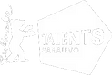 BT_Sarajevo_R_Black_K.png