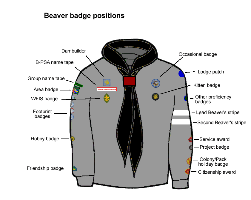 badge position beavers