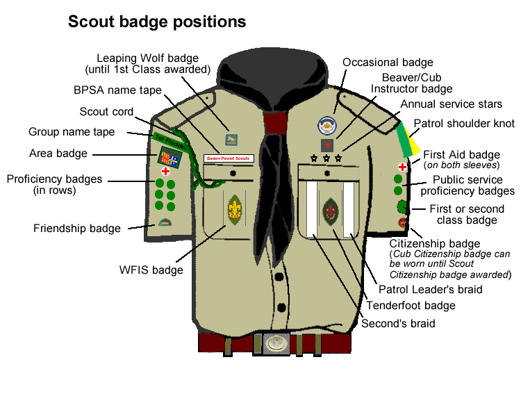 badge positions scouts.gif