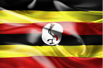 BYSD Assets (15).png