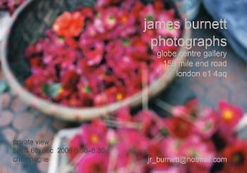 hanoiflowerspc2.jpeg