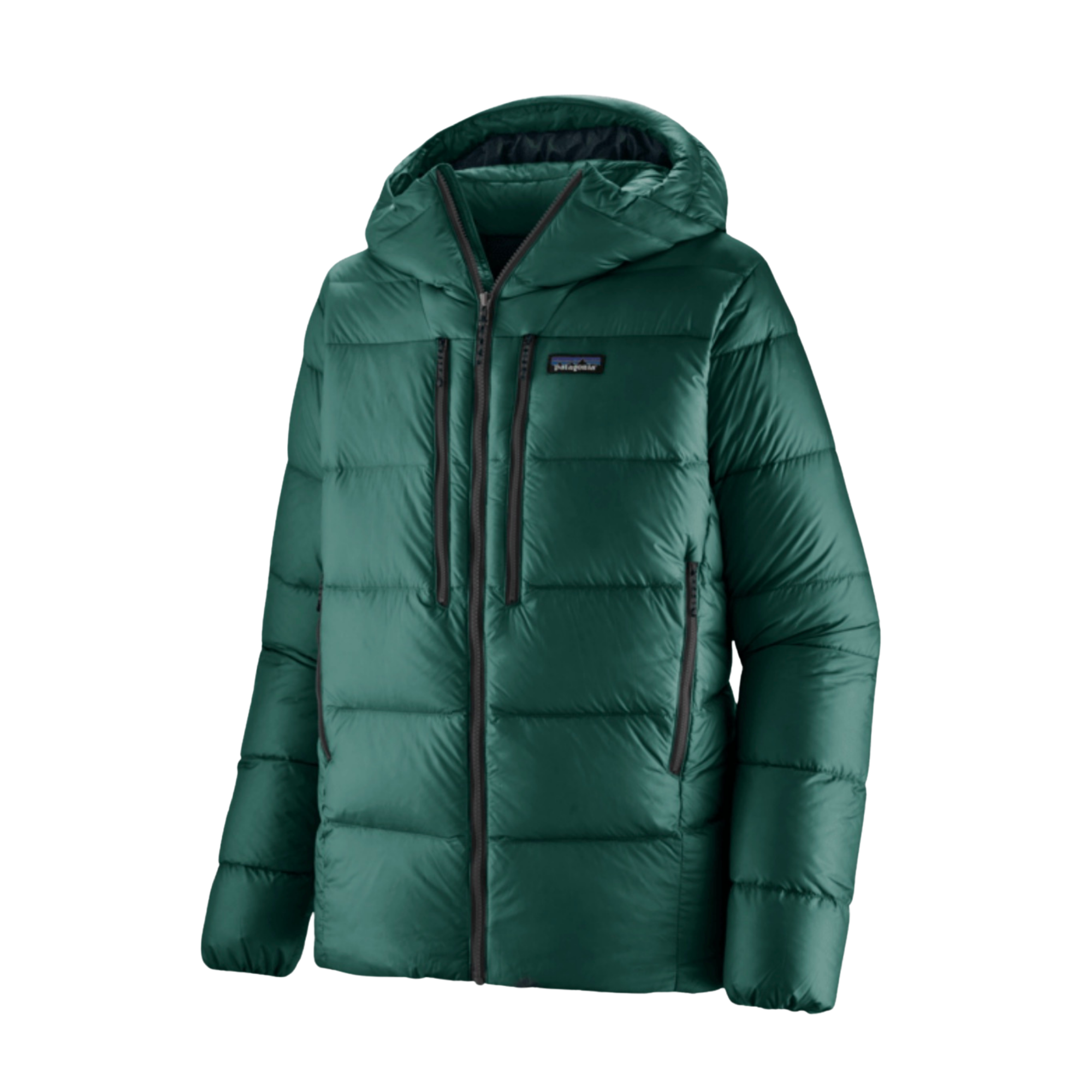 M'S FITZ ROY DOWN HOODY