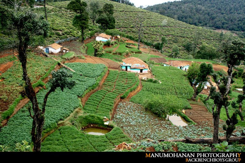 Ooty