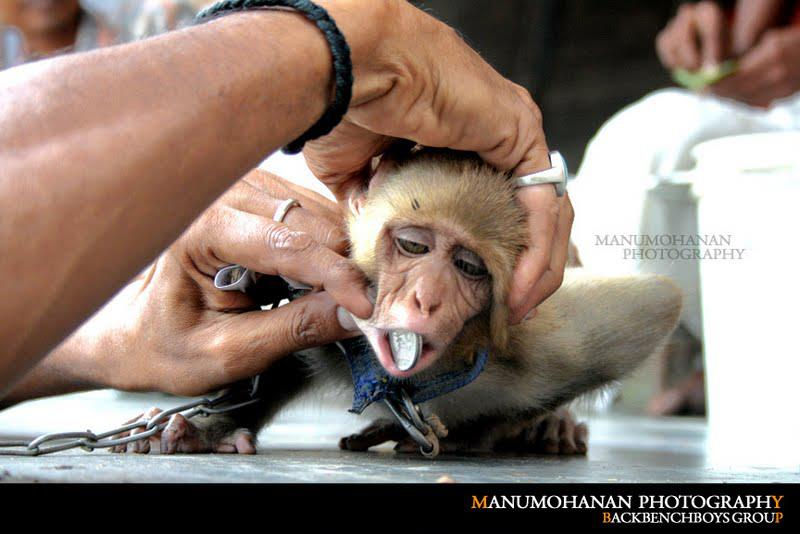 Power of the 'Money'