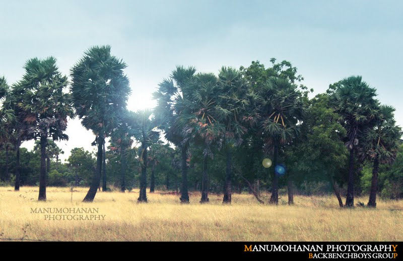 Morning Tamilnadu...
