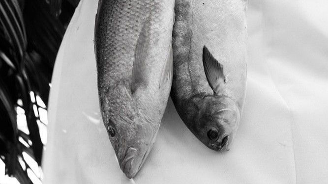 You take Omega-3. But still undersupplied?!?
