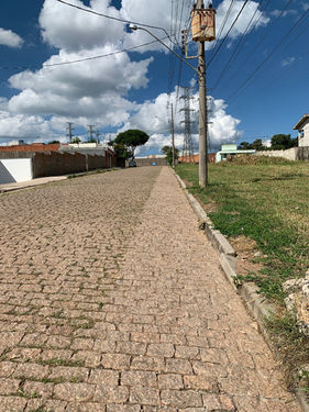 Tecnologia brasileira substitui agroquímicos na eliminação do mato nos centros urbanos