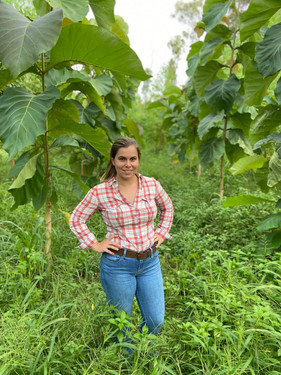 Produtora realiza três safras por ano com uso de pivôs