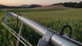 Produtor gaúcho contorna impactos da seca com irrigação e tem alta produtividade