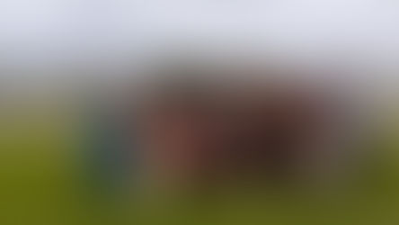 シニア委員会 いきいきウォーキング