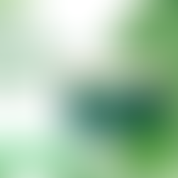 Scented Symphony: The Jack & Rose Aromatherapy Essential Oil Diffuser Experience