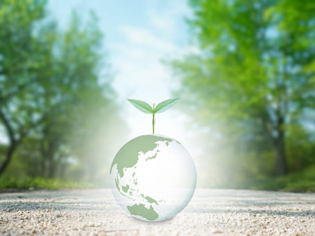 新しくHP作成しました