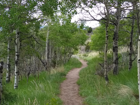 Health/Fitness Events and News 2023