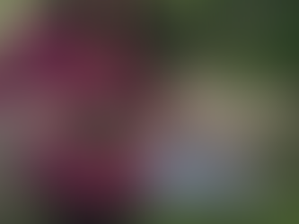 Past, Present, and Future