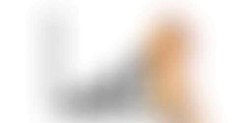 Se a empresa cresce 10 vezes, o empreendedor precisa crescer na mesma velocidade