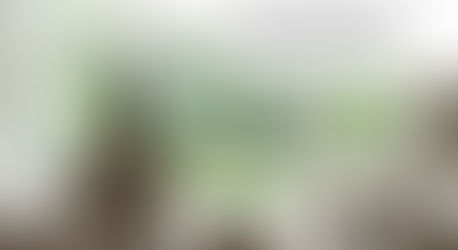 The Advantages of Residential Window Tinting Milton Residents Need for Home Protection