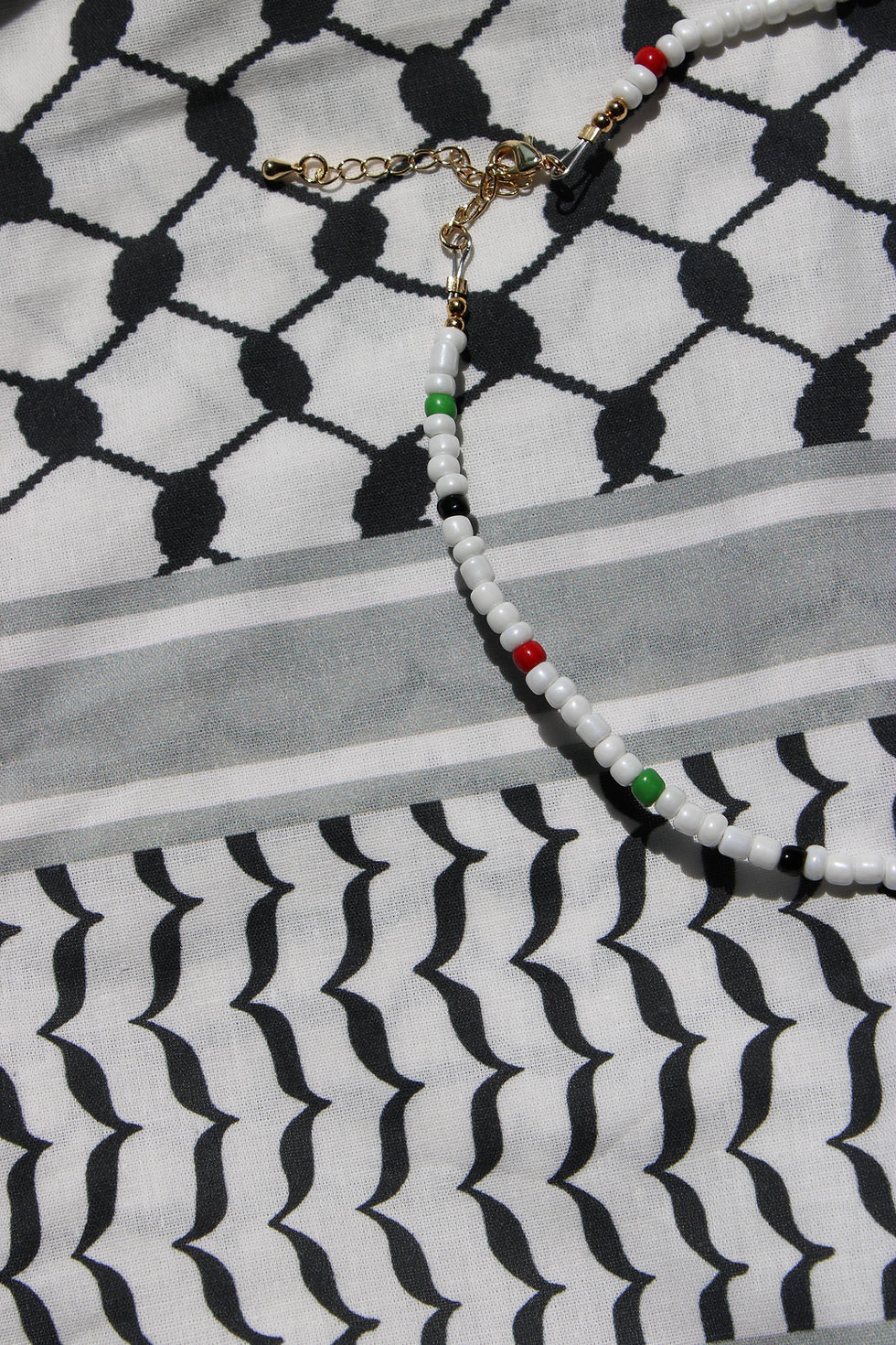 Thumbnail: Palestina Libre