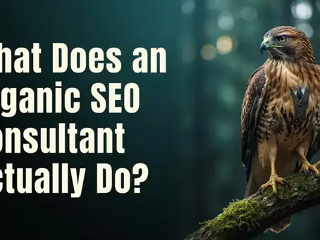 What Does an Organic SEO Consultant Actually Do?