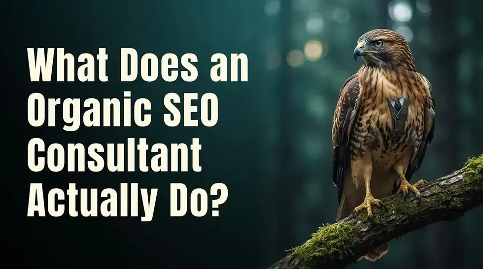 What Does an Organic SEO Consultant Actually Do?