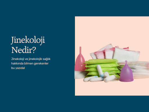 Jinekoloji Nedir?