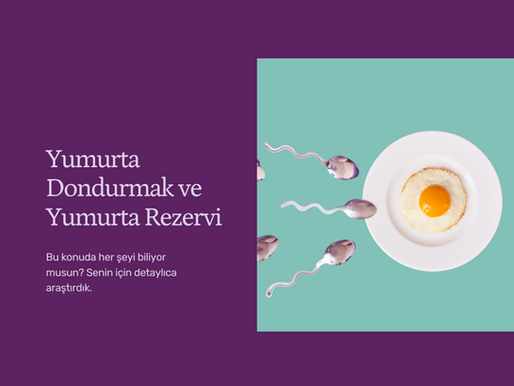 Yumurta Dondurma Nasıl Olur? Yumurta Rezervi Nedir?