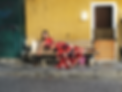 IMG 5.png