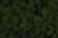 Clover_edited.jpg