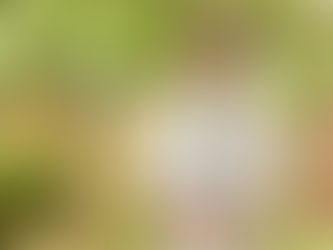 Doctor G first look: Ayushmann Khurrana dons a lab coat as he plays a medical student.