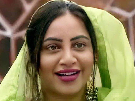 Arshi Khan: Journey of Bigg Boss 14 was more fulfilling than season 11.