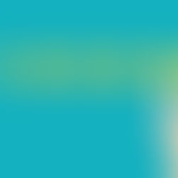 The Importance of Online Reviews for Small Businesses