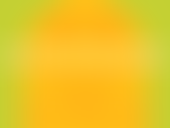 Battle of the Lashes: Lash Lifts VS Lash Extensions