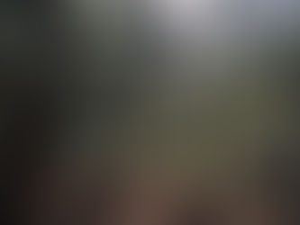 Auburn Kisses and Frost Bites