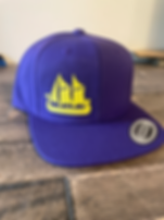 Minnesota Vikings Hat