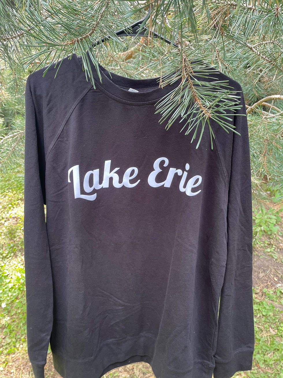 Lake Erie sweatshirt