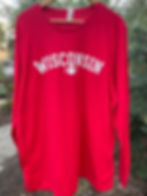 Wisconsin badger football tee
