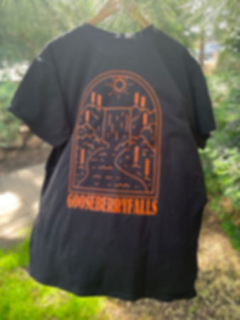 Gooseberry falls tee