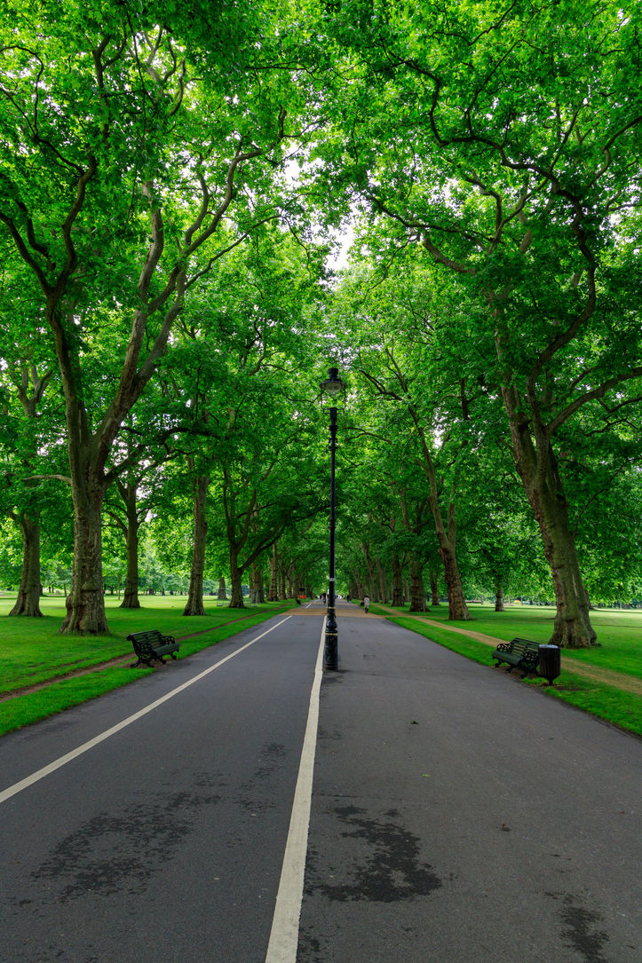 Hyde park.jpg
