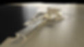 WELLNESS CENTER_DUBAI.jpg